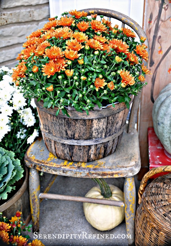 Fall Harvest Porch Decor