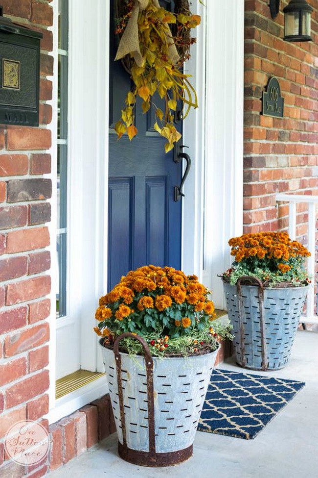 Fall Mums in Olive Buckets