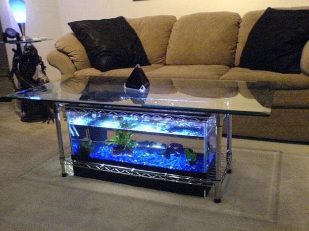 DIY Aquarium Coffee Table