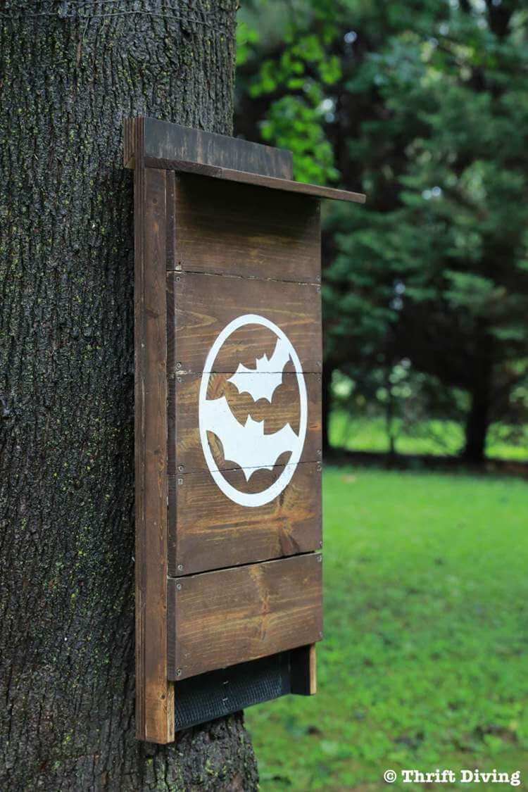 DIY Bat House For Backyard