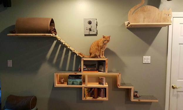  Cat Adventure And Escape Wall