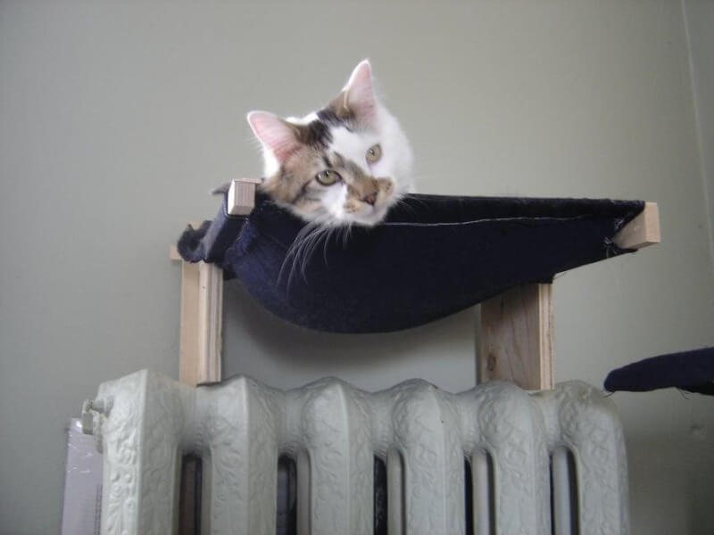 DIY Cat Hammock