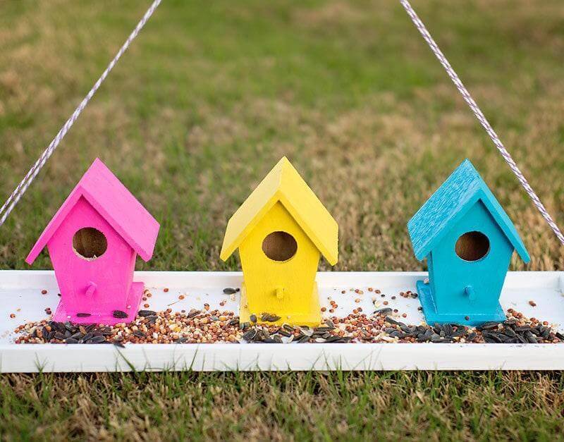 DIY Easy Oriole Feeder