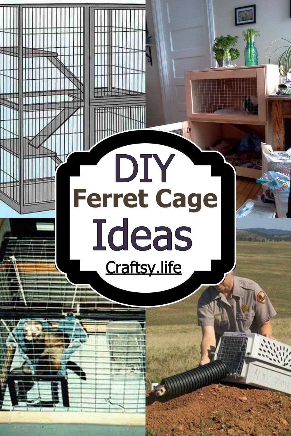 DIY Ferret Cage Ideas