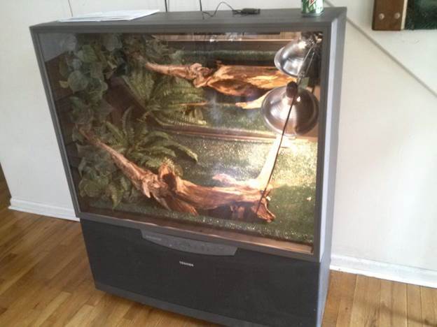 DIY Iguana Cage