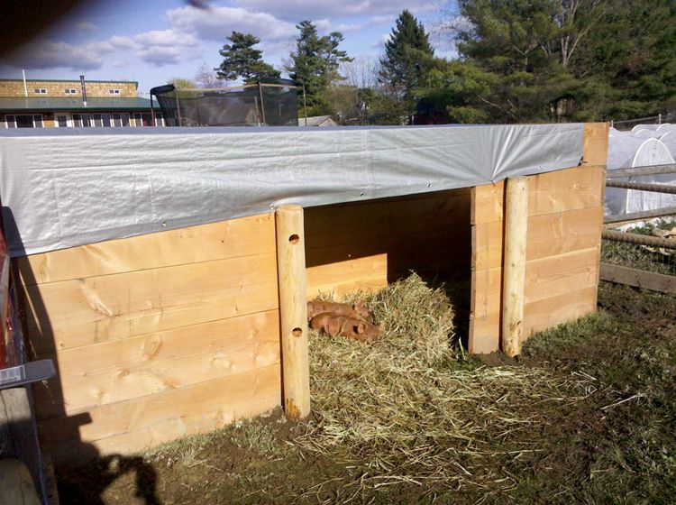 DIY Simple Pig Pen