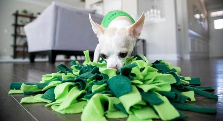 DIY Snuffle Mat Dog Toy