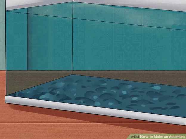 How To Make An Aquarium