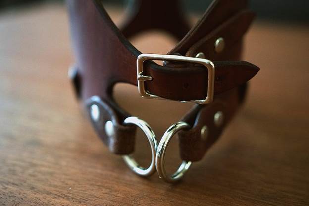 Making A Custom Leather Dog Harness