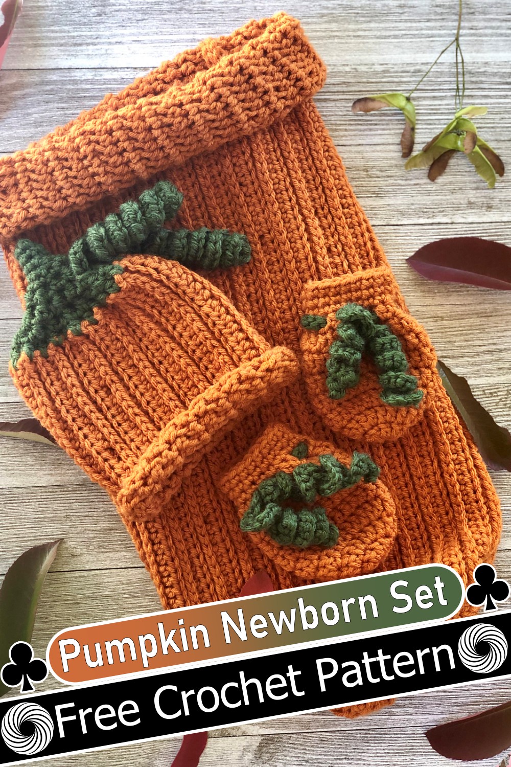 Pumpkin Newborn Set