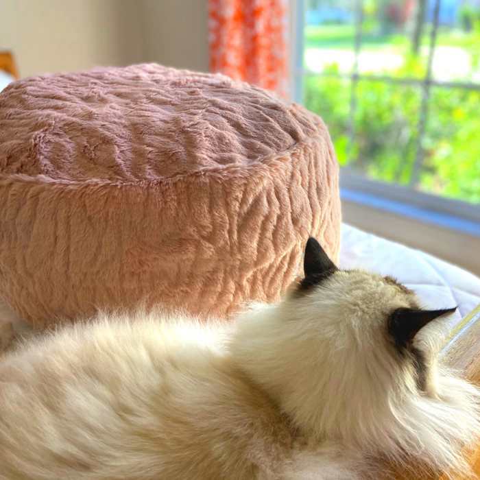 DIY Bean Bag Chair For Pets