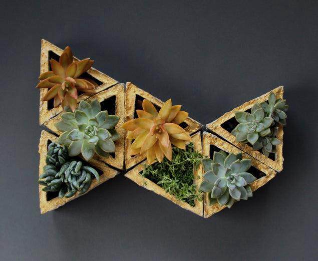 4.-Concrete-Geometric-Wall-Planters