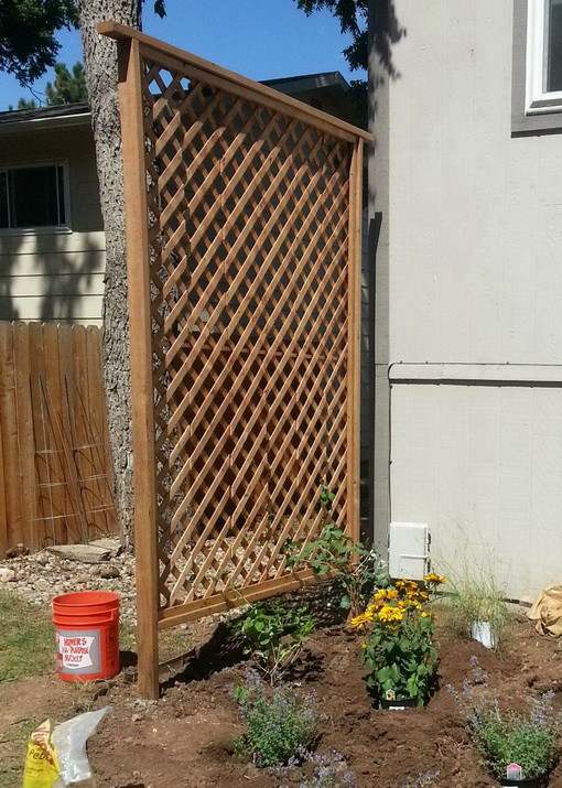 DIY Backyard Trellis