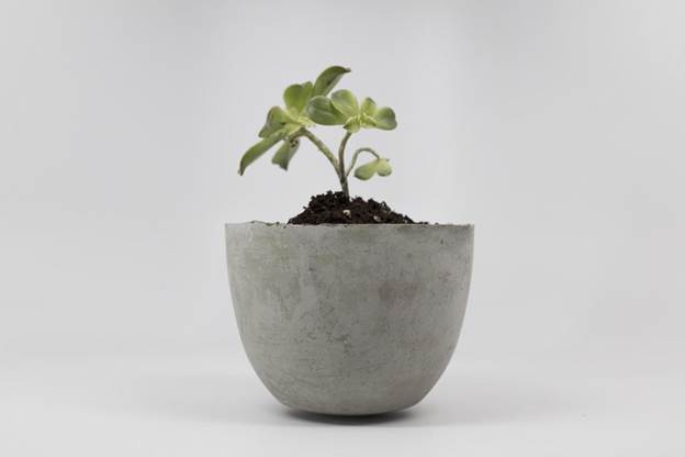 DIY Cement Planter