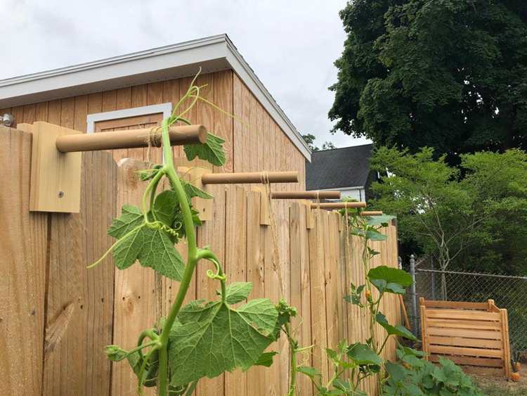 Fence Trellis Brackets