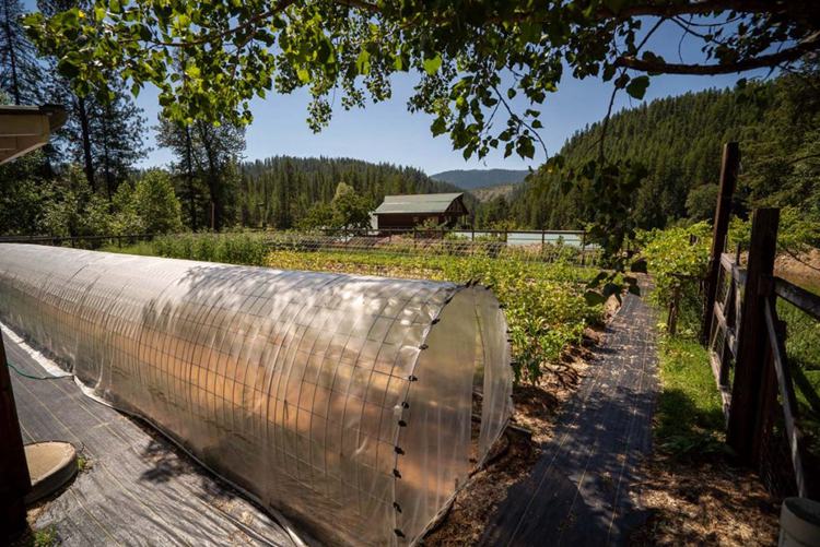 DIY Hoop House