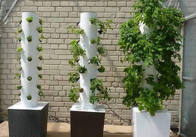 DIY Hydroponic Tower Garden