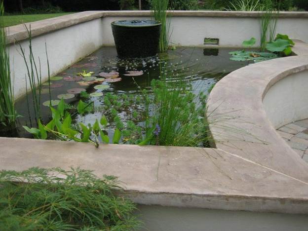 DIY Koi Pond