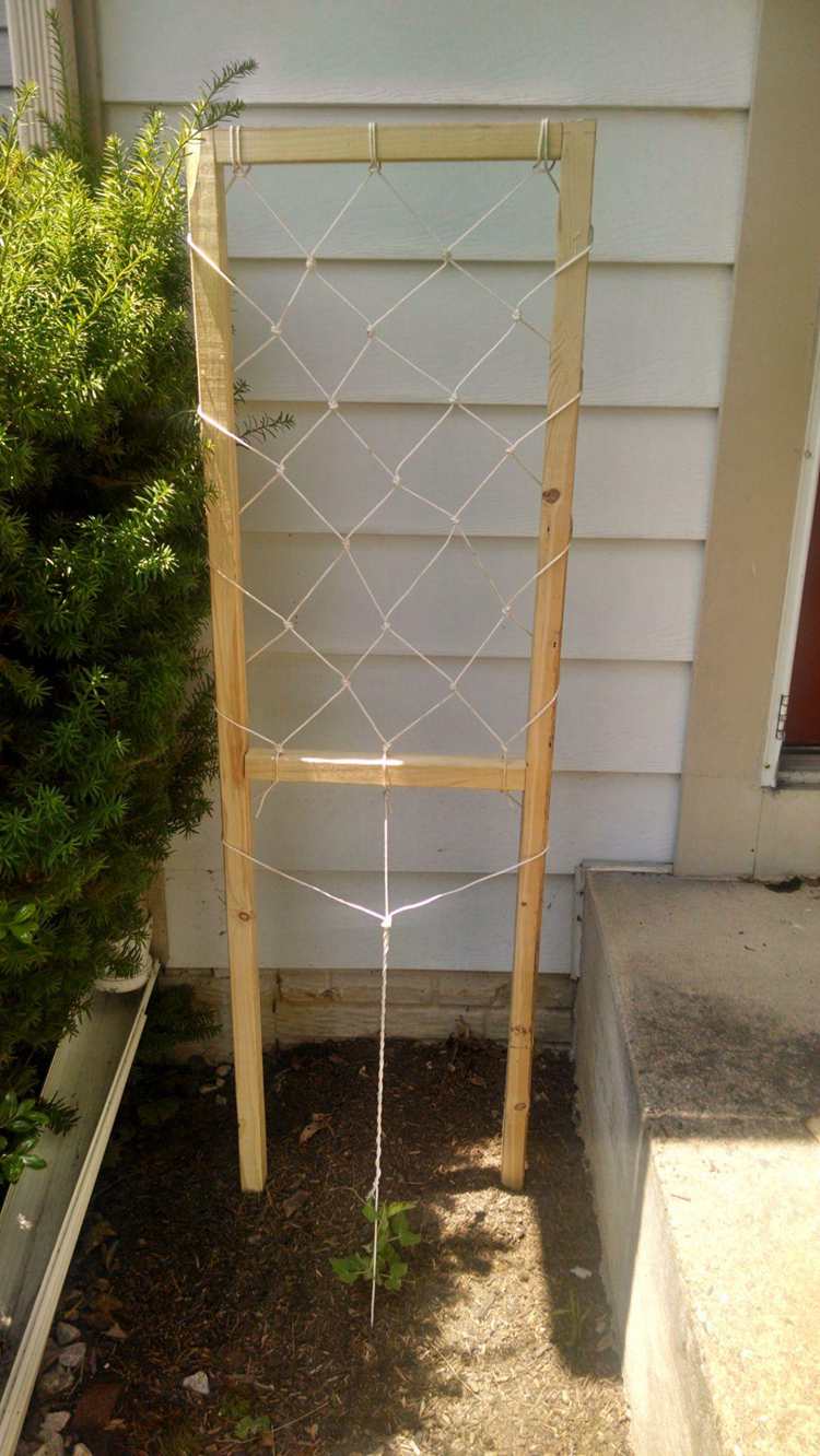 Macrame Trellis