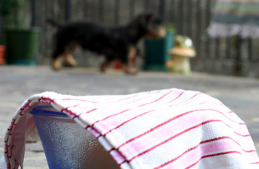 DIY Refrigerator Using a Wet Towel and Sun