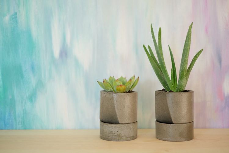 DIY Self Watering Concrete Planter