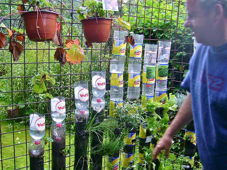 hanging plant Garden