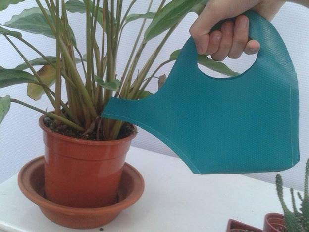 Foldable Watering Can