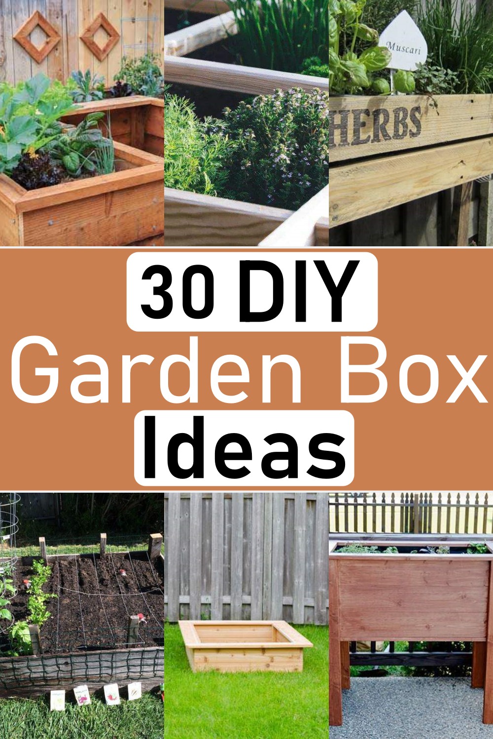 Garden Box