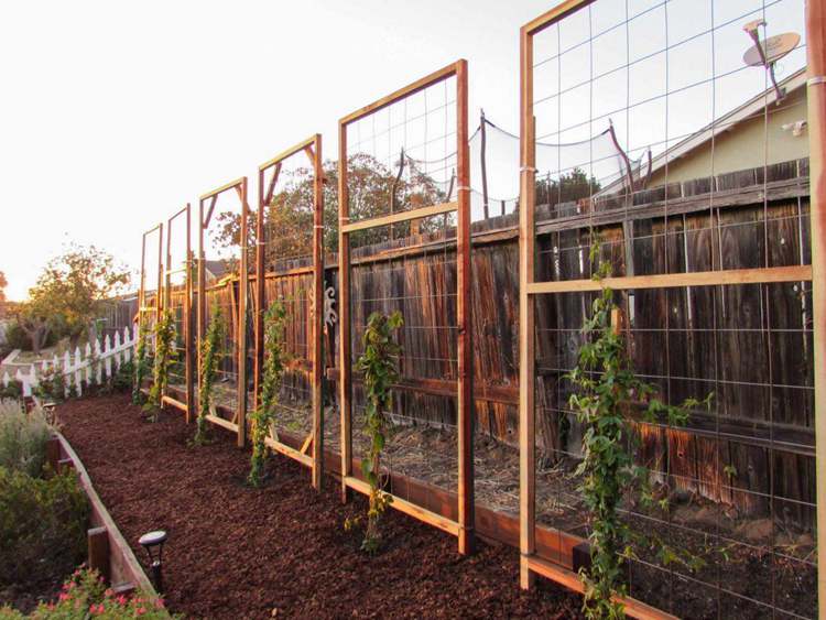 How To Build A Trellis