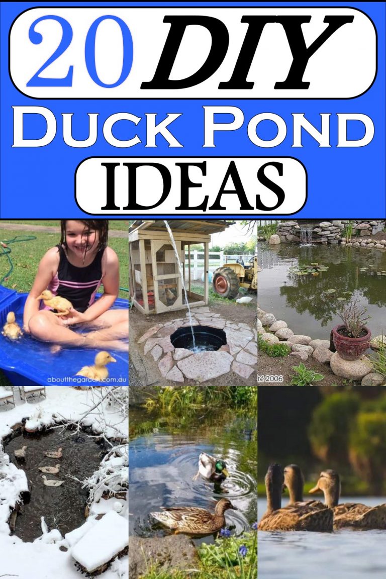 20 DIY Duck Pond Ideas For Backyard