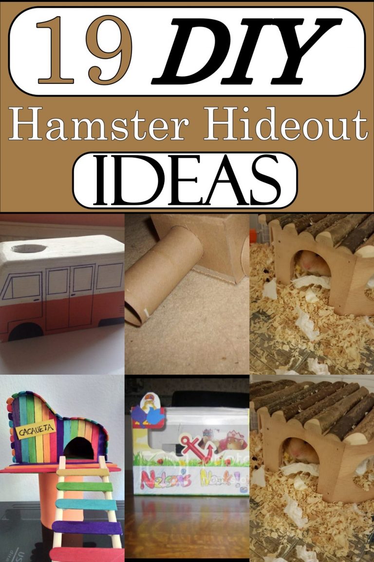 DIY Hamster Hideout Ideas