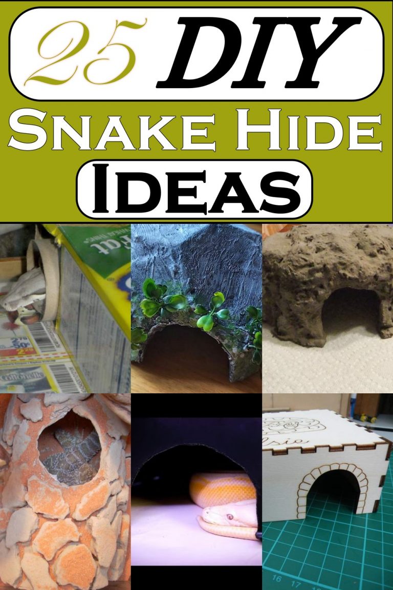 25 DIY Snake Hide Ideas To Hide Your Reptiles