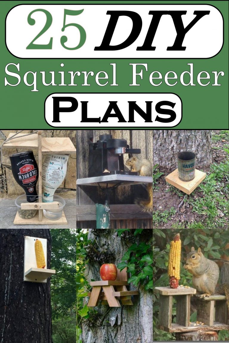 DIY Squirrel Feeder Plans