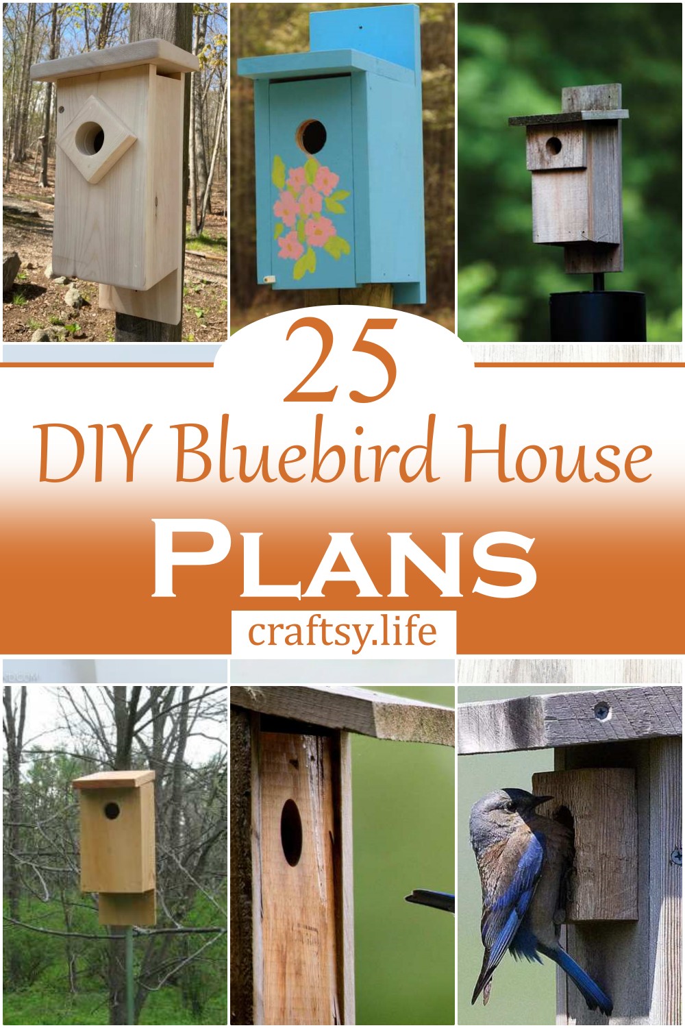 DIY Bluebird House Plans