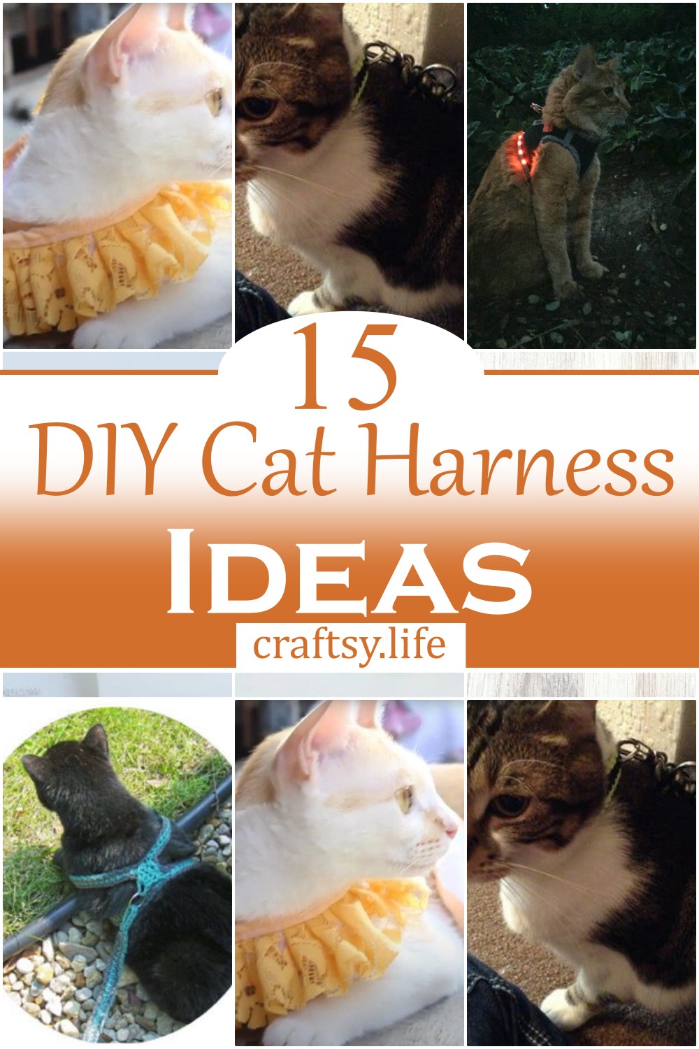 DIY Cat Harness Ideas