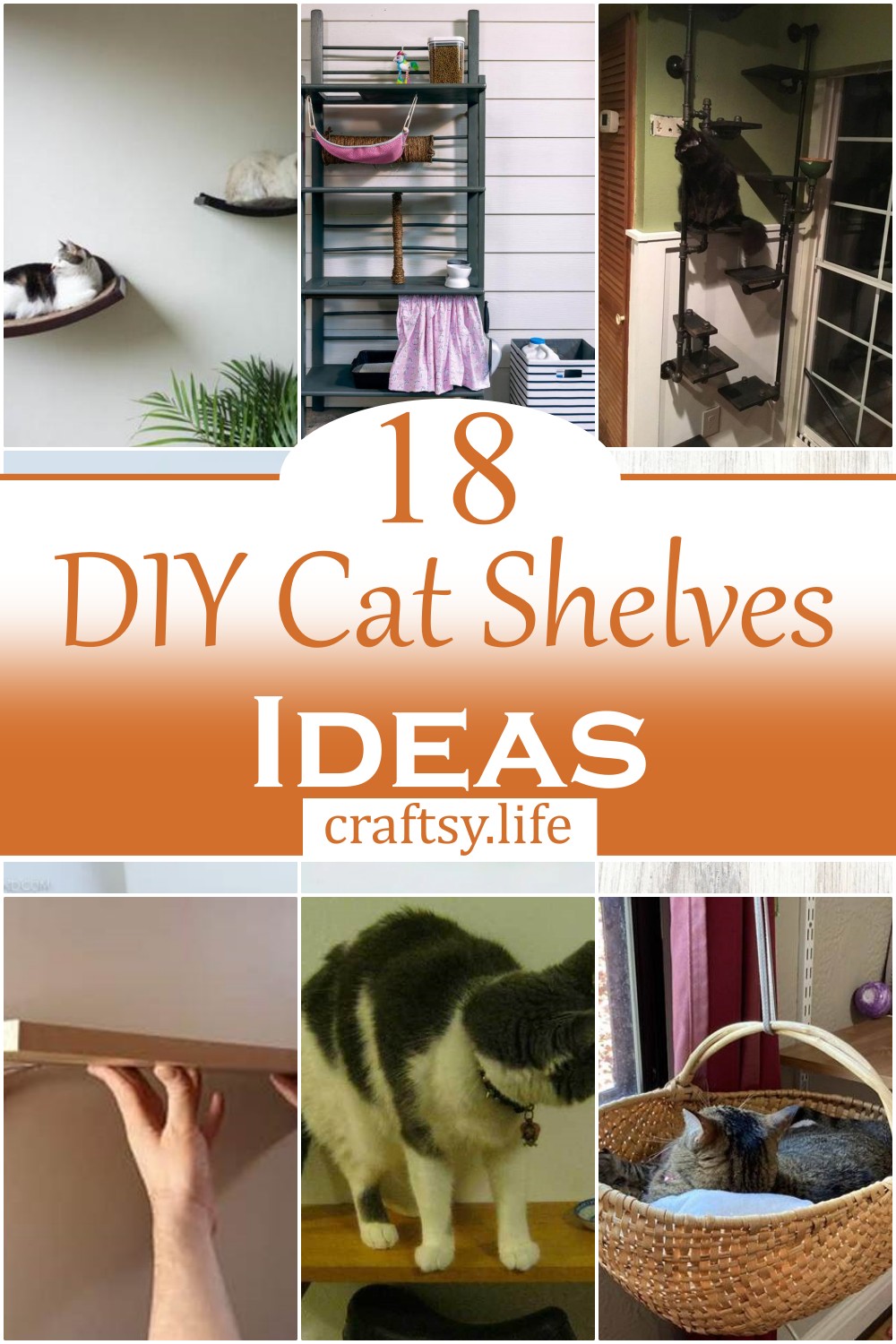 DIY Cat Shelves