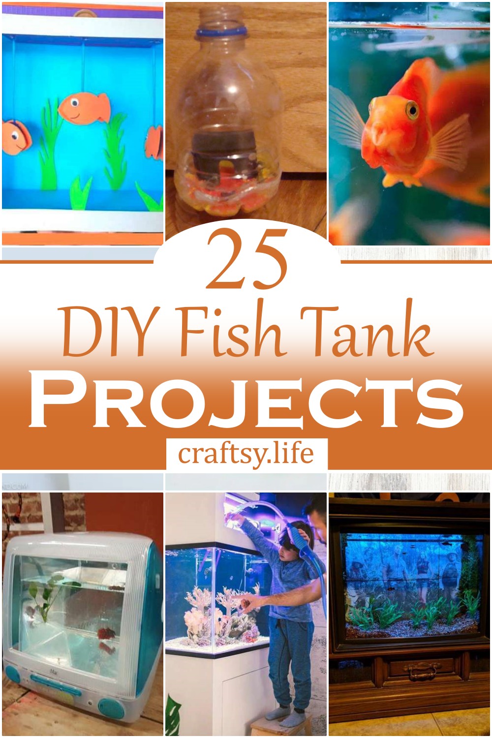 DIY Fish Tank Projects