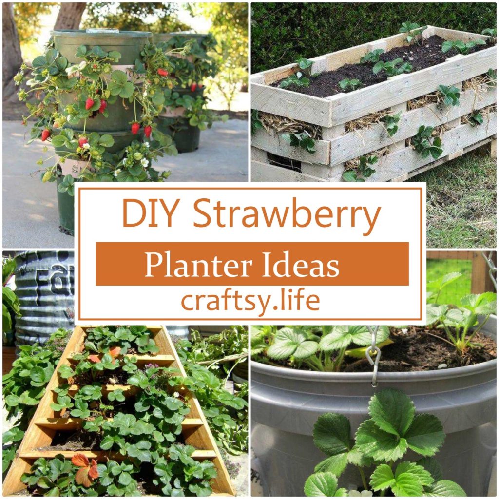 DIY Strawberry Planter Ideas