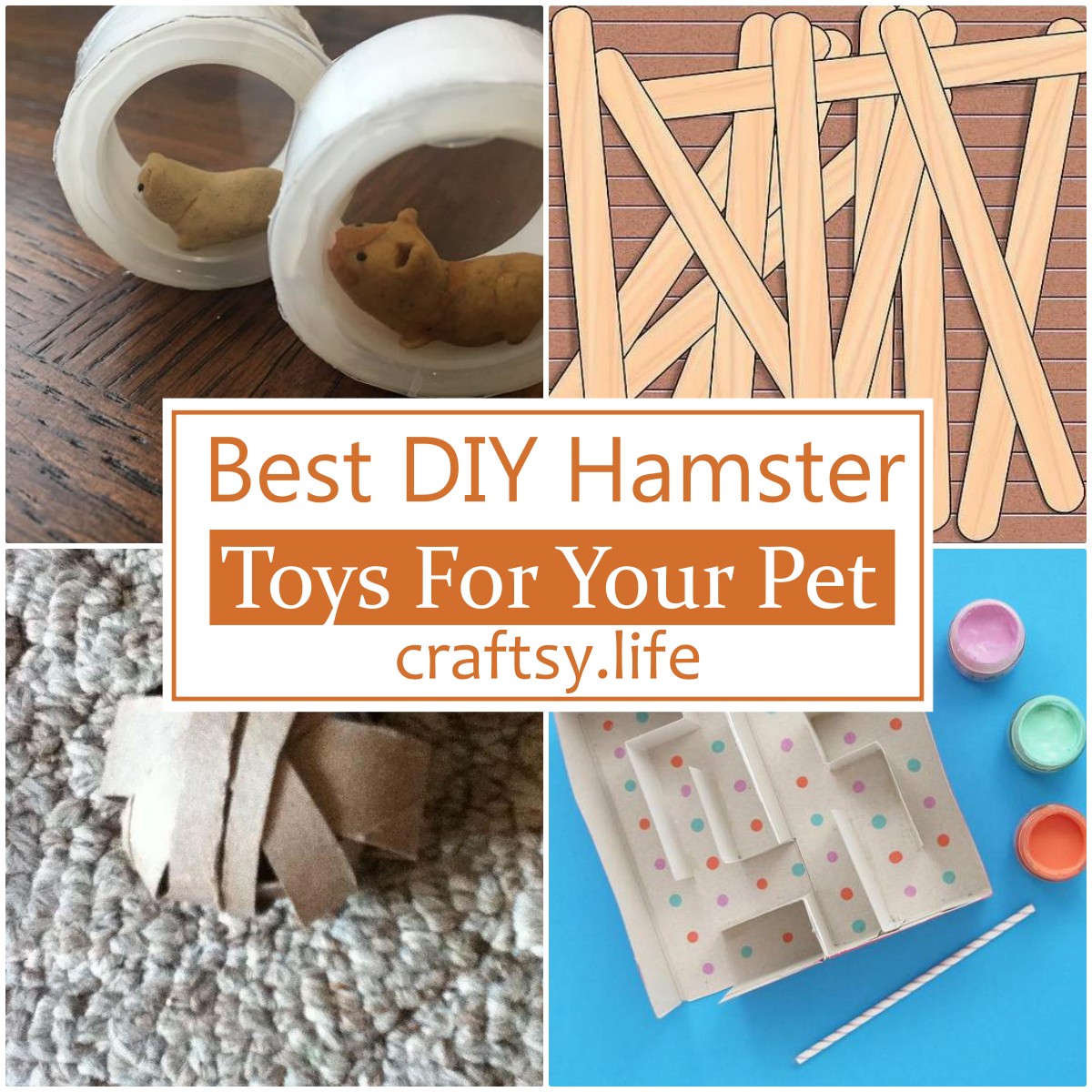 20 Best DIY Hamster Toys For Your Pet