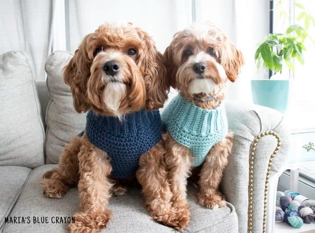 CROCHET DOG SWEATER PATTERN