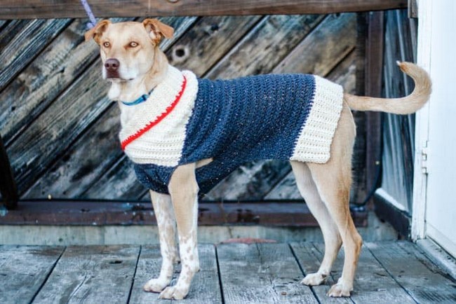 CROCHET DOG SWEATER