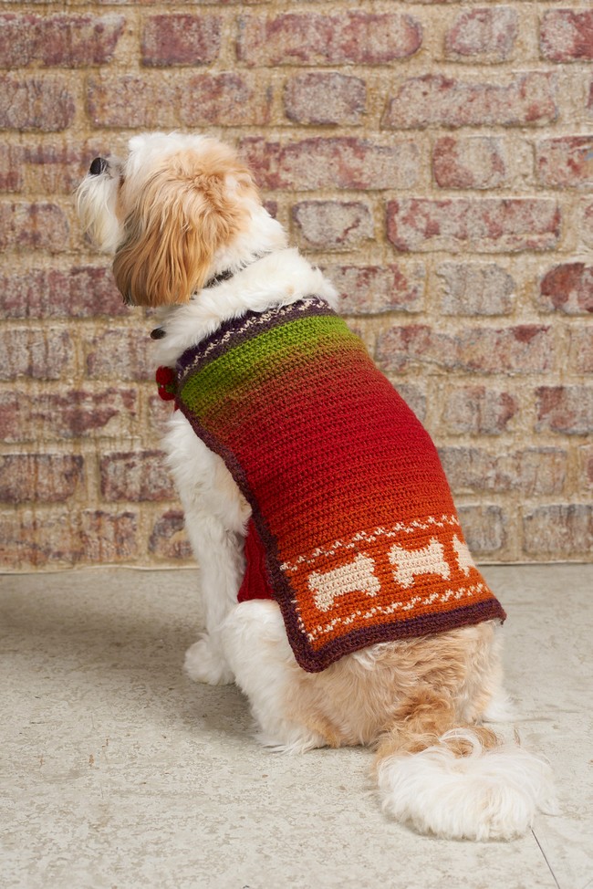 Colourwork Dog coat