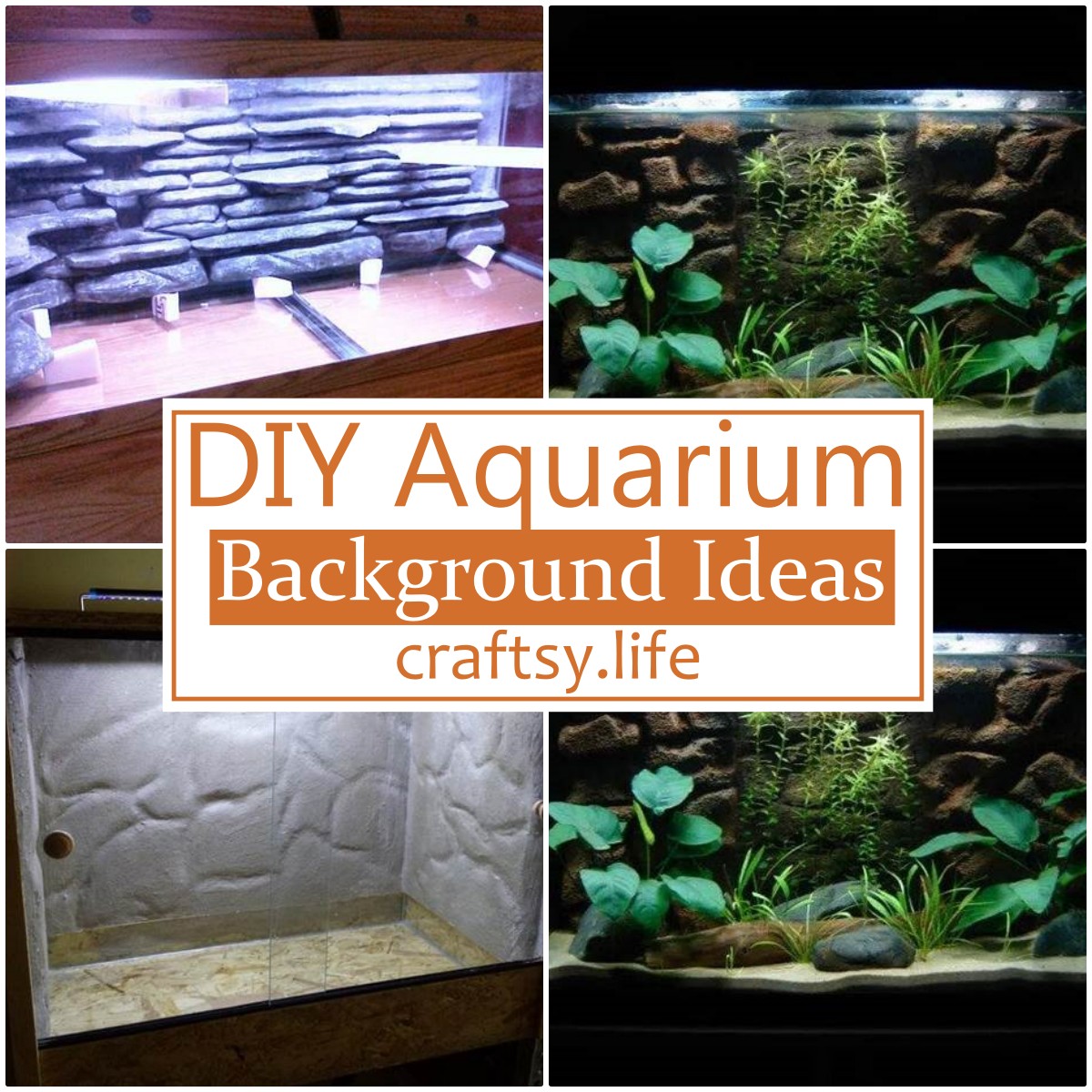 DIY Aquarium Background Ideas