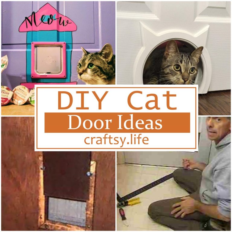 DIY Cat Door Ideas