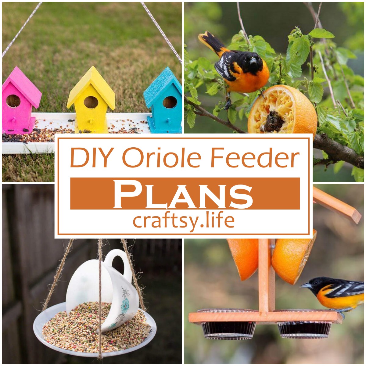 DIY Oriole Feeder Plans 1