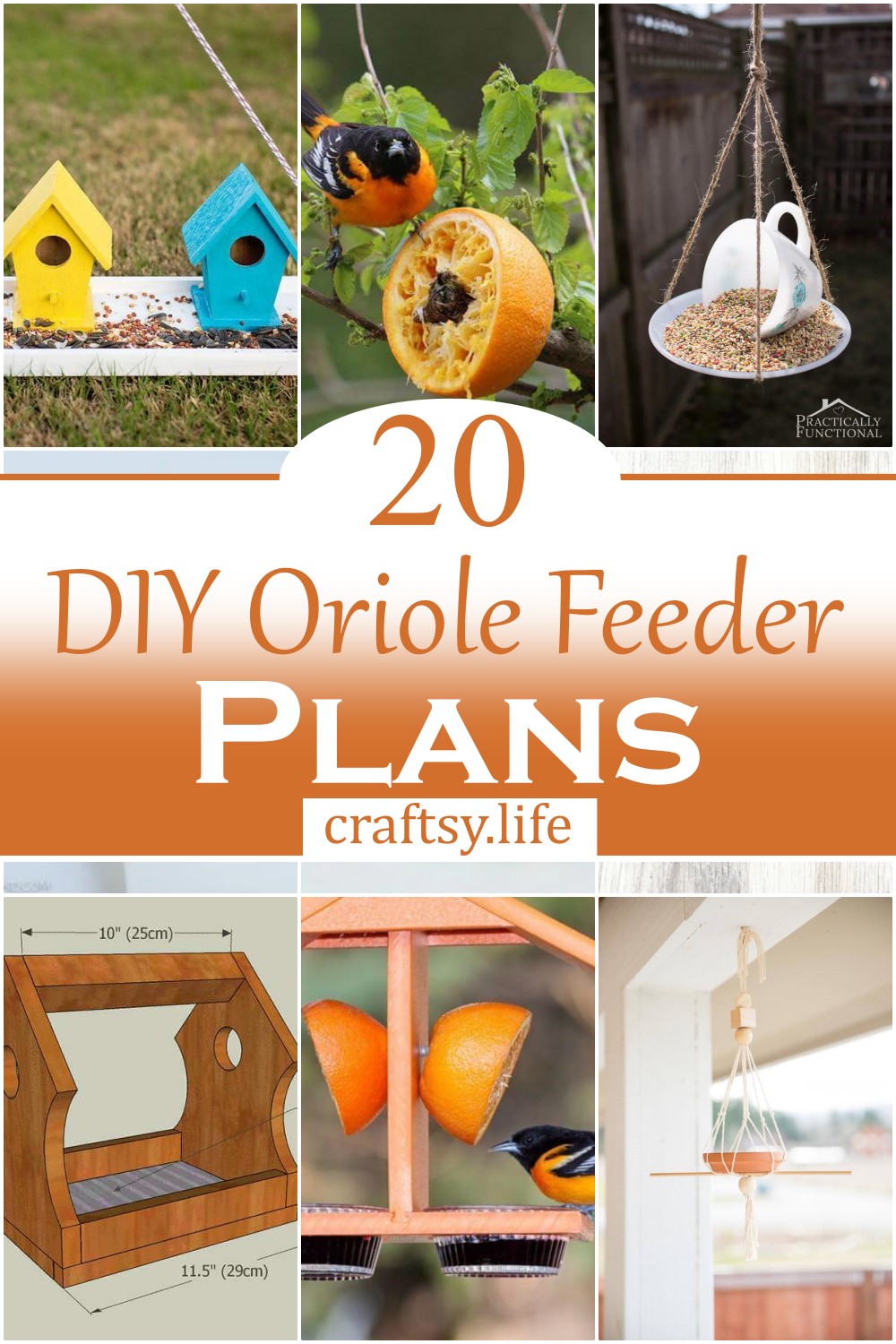 DIY Oriole Feeder Plans