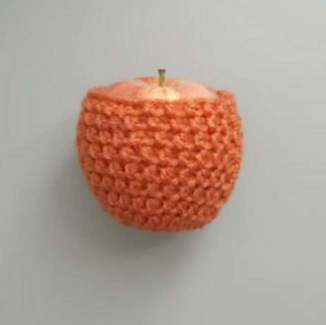 Fruit Cozy