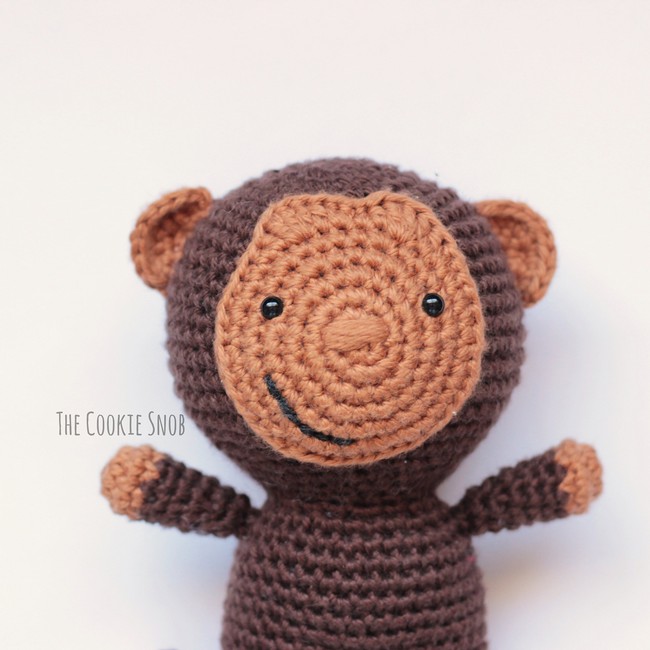 Maxwell the cute amigurumi