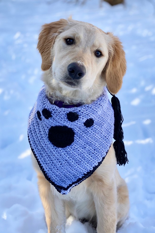 Pretty Paws cowl