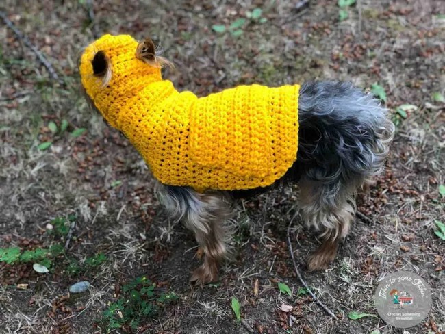 Small Dog Hoodie Sweater